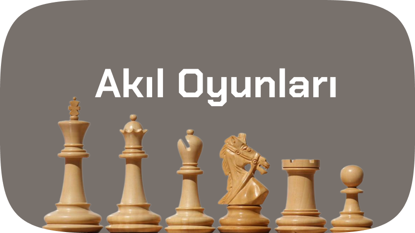 Akıl Oyunlarıkategorisi